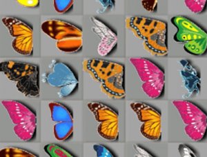 Butterfly Matching Puzzle - Ludoryx free online game